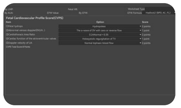 Additionally, Cardiovascular Profile Score (CVPS) provides a standardized guideline through a five-item checklist to support prenatal cardiovascular assessment.